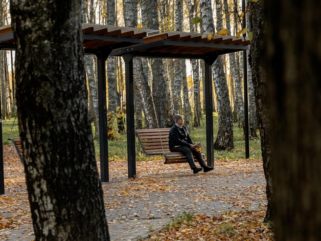 План на осень — любоваться закатом на качелях в парке «Березки» | Источник: Александр Куренной / 76.RU