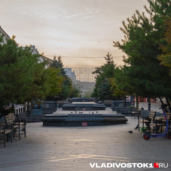 Источник: Елена Буйвол / VLADIVOSTOK1.RU