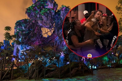 Драка у аттракциона «Аватар» в Disney World попала на видео