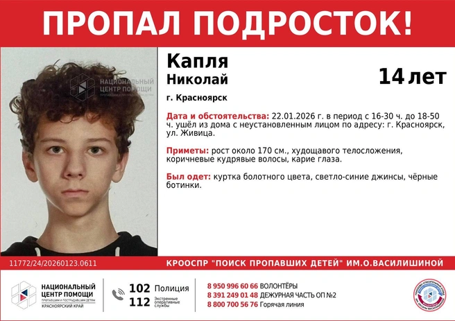 Ориентировка на Николая | Источник: «„Поиск пропавших детей“ им. Оксаны Василишиной» / Telegram