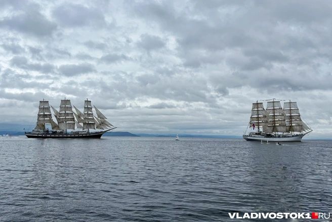 Источник: Елена Буйвол / VLADIVOSTOK1.RU
