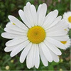 userpic__Люба 11
