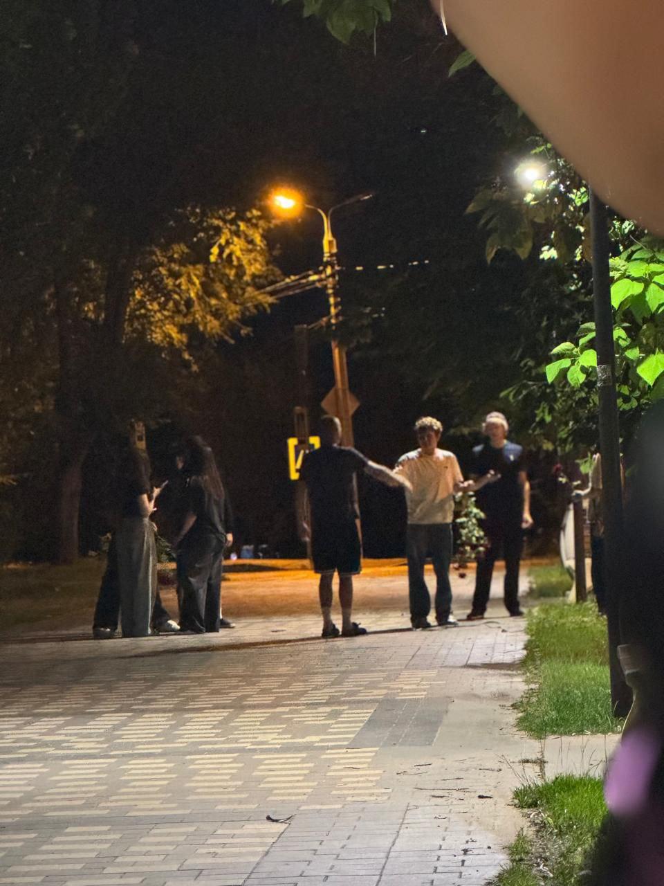 В Волгограде подростки уничтожили шикарные кустовые розы в парке Гагарина, где резко исчезло освещение