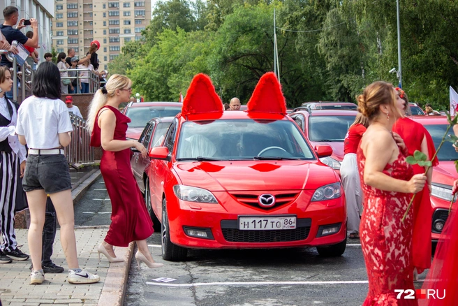 Был даже автомобиль с ушками. Владелец, расскажите, как вы это сделали?  | Источник: Павел Красотник / 72.RU