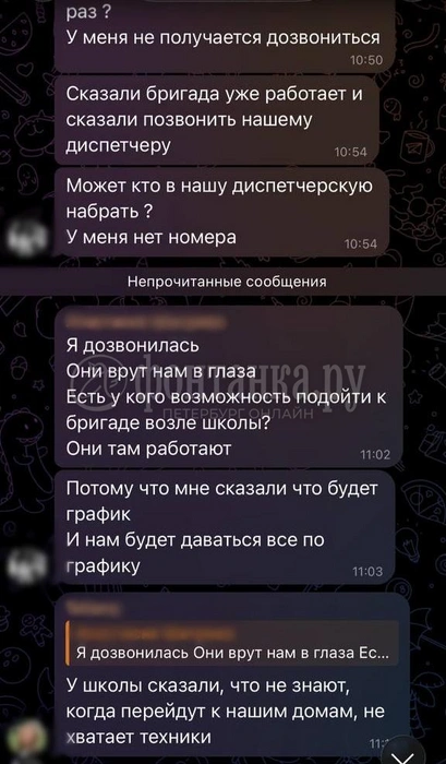Источник: Скриншот домового чата
