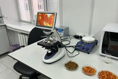 Два хозяйства Бурятии получат научную поддержку