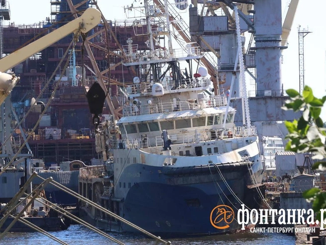 Буксир «Капитан Ушаков» полностью подняли из воды | Источник: Марина Мамонтова / FONTANKA.RU