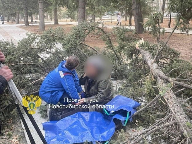 Инцидент произошёл сегодня днём | Источник: Прокуратура Новосибирской области / Телеграм