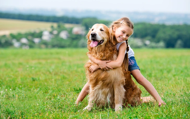 Источник: Shutterstock