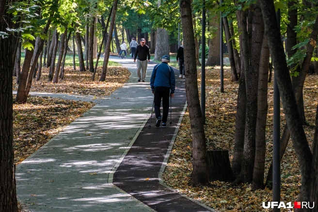 Гулять осенью в парке&nbsp;— это особая атмосфера | Источник: Булат Салихов / UFA1.RU
