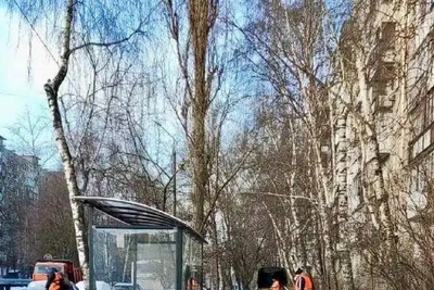 Власти назвали причину смерти нижегородца на улице