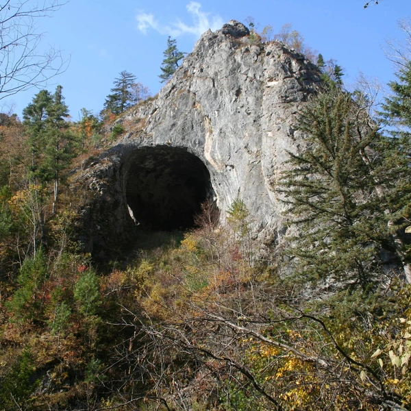Источник: Sazag08 / commons.wikimedia.org