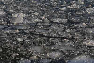 Мальчик утонул, провалившись под лед на реке Усмань