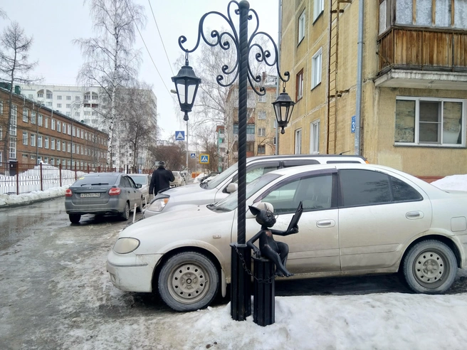 Это еще почти неповрежденная композиция: у кота не хватает только усов | Источник: Антон Лопанин