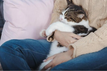 Мини-тест на степень усталости: Ответьте на 3 вопроса и узнайте, пора ли вам «на ручки»