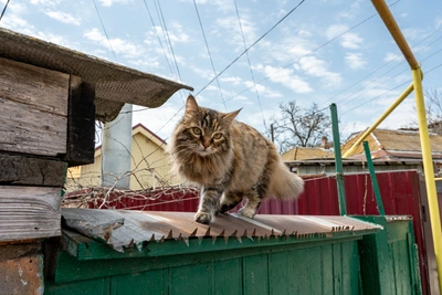 Теплая погода ожидается в Ростовской области 12 марта