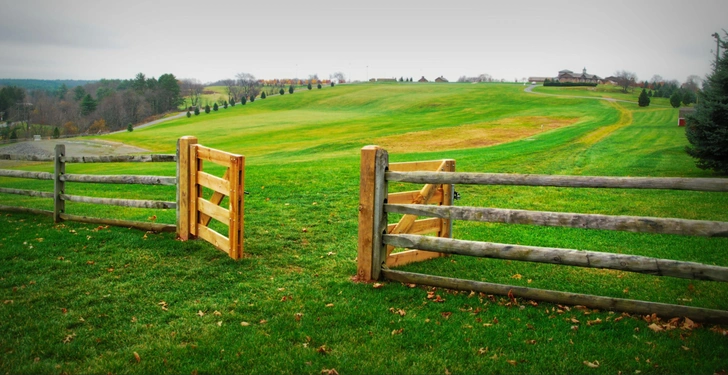 В 2017 году место проведения фестиваля было включено в Национальный реестр исторических мест США | Источник: Cavan Images via Legion Media