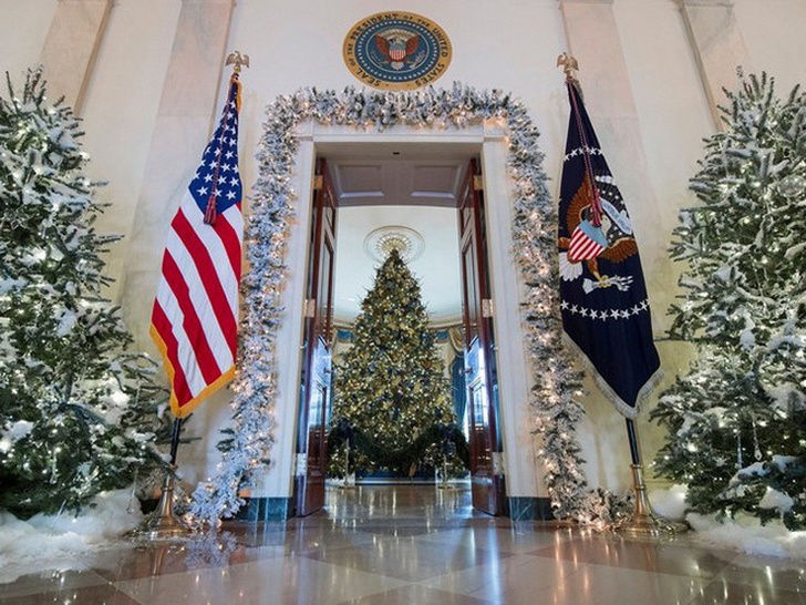 Мелания Трамп украсила Белый Дом к Рождеству фото [11]