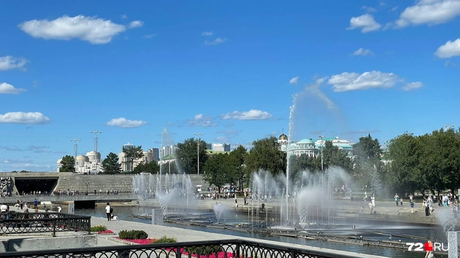 В самом далеке стоит пятерка лошадей и пони. Даже в жару они проводят там почти целый день. Мне на такое больно смотреть, считаю это дикостью | Источник: Дарья Макеева / 72.RU