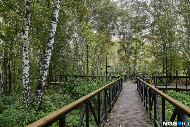 В 2026 году городской бюджет финансировал благоустройство. В Октябрьском районе открылся новый парк «Каменка» | Источник: Александр Ощепков / NGS.RU
