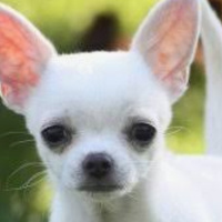 Аватарка Лиля