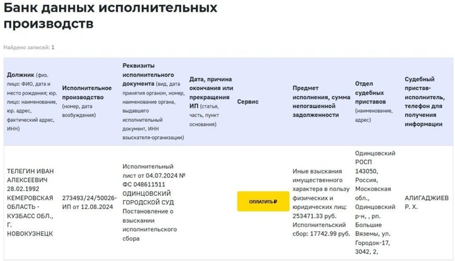 Телегин и Пелагея ведут судебные споры с 2020 года | Источник: www.city-n.ru