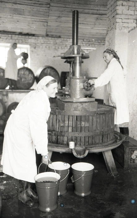 Работницы&nbsp;Галкина и Сенина в цеху выработки соков. 1959 год | Источник: фотофонд Самарского областного государственного архива социально-политической истории