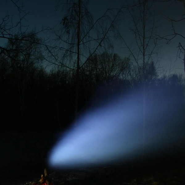 Источник: Наталья Пронина