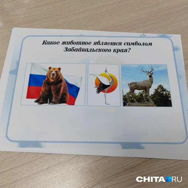 Источник: Дарья Кливенкова / CHITA.RU