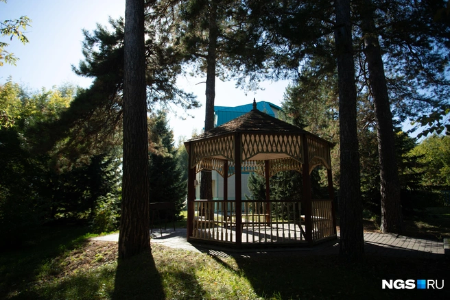 На территории парка несколько беседок  | Источник: Андрей Бортко / NGS.RU 