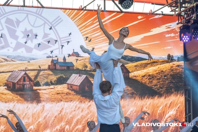 Источник: Елена Буйвол / VLADIVOSTOK1.RU
