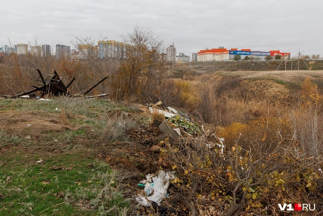 Среди мусора можно приметить не только обгоревшие доски, но и прочий строительный лом | Источник: Алексей Волхонский / V1.RU