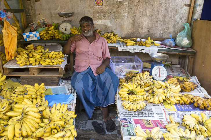 Останется ли человечество без бананов? Что грозит фруктам и как ботаники будут решать проблему
