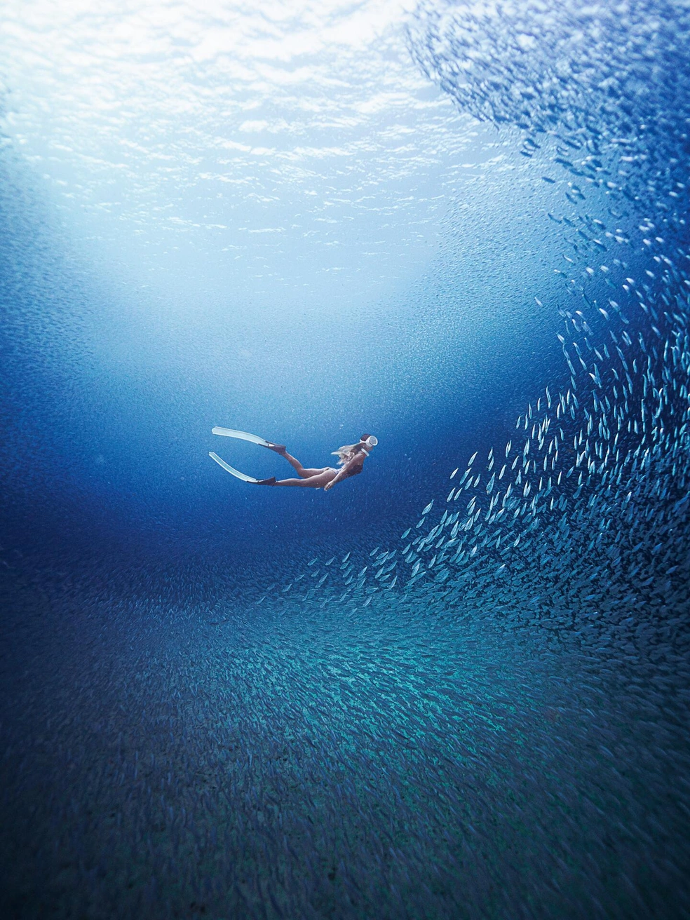Один в поле, может, и не воин, но в море — очень даже | Источник: Akira Asahina / Ocean Conservancy Photo Contest 2026