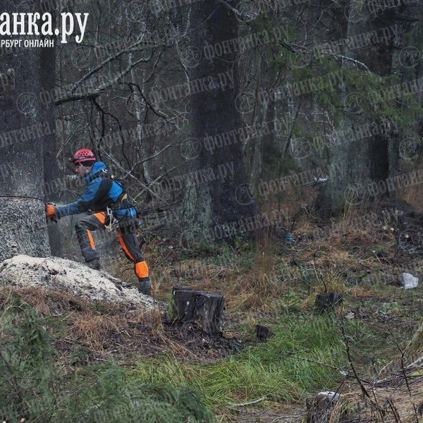 Источник: Михаил Огнев / FONTANKA.RU