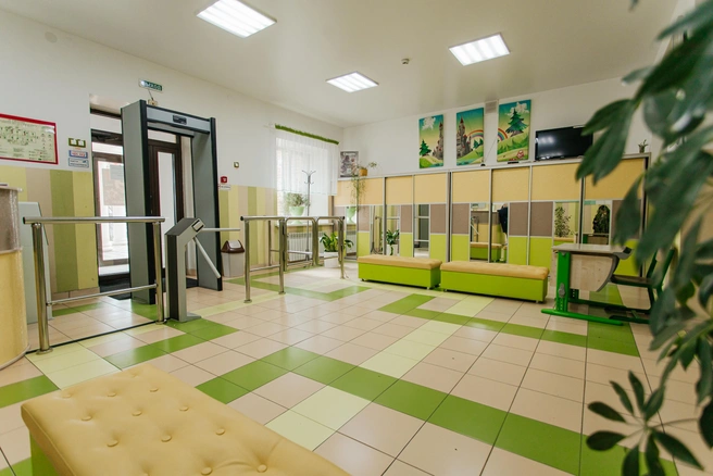 Источник: Ксения Зимина