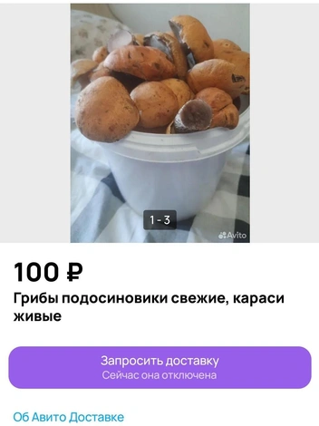 Подосиновики — самые дешевые грибы | Источник: Avito.ru