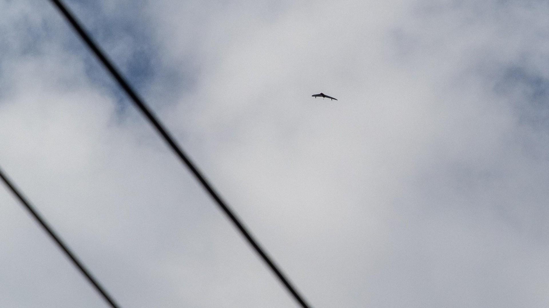 Над Башкирией сбили беспилотник