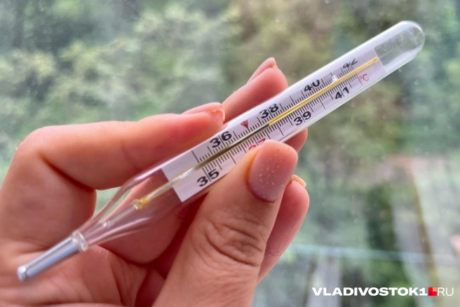 Число заболевших ОРВИ и гриппом превысило 15 тысяч человек | Источник: Елена Буйвол / VLADIVOSTOK1.RU