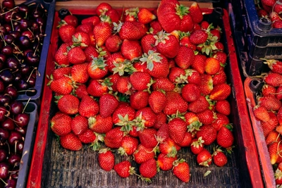 Ввоз китайских ягод в Забайкалье увеличился в 70 раз за год