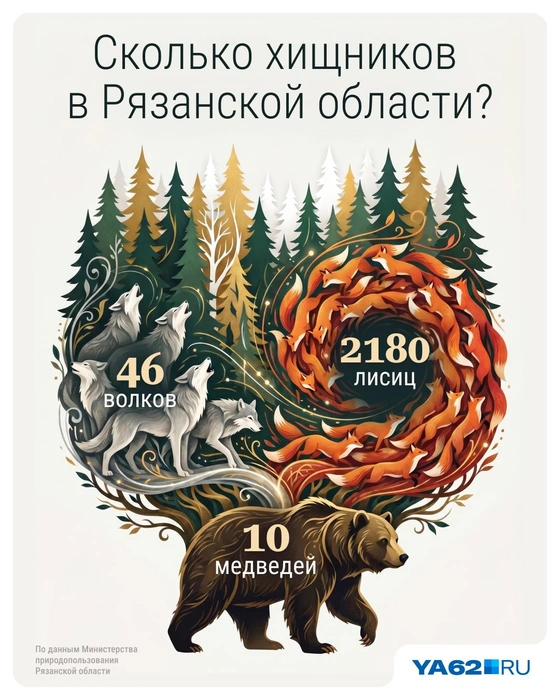 При встрече с животными будьте осторожны | Источник: Серафима Пантыкина / Городские медиа