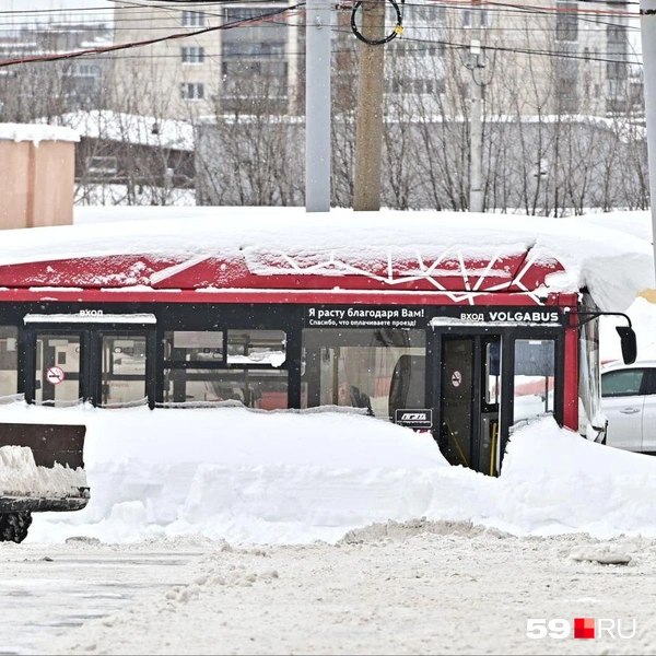 К этому автобусу не подойти: он стоит в снегу. На крыше с надписью «Я расту благодаря вам» образовался сугроб | Источник: Василина Любимова / 59.RU