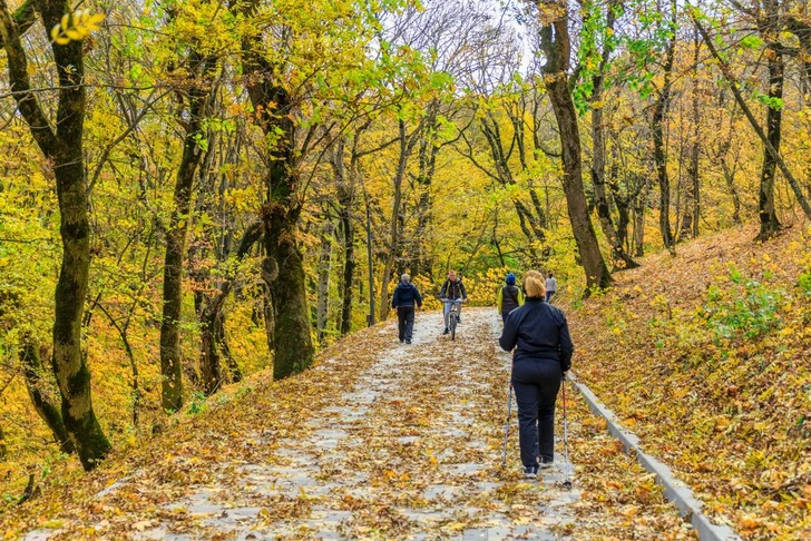 Источник: IgorMarch/Shutterstock/Fotodom.ru