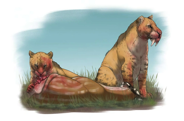Саблезубые кошки рода Smilodon пожирают свою добычу  | Источник: Felipe Capoccia/UNICAMP 