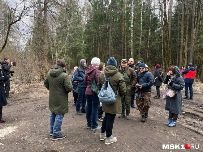 Десятки жителей и активистов выступили против строительства дороги через «Лосиный остров» | Источник: Екатерина Фадеева / MSK1.RU
