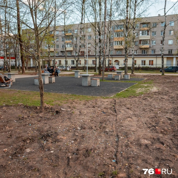 В мэрии ответили, почему популярный парк выглядит так депрессивно | Источник: Александр Куренной / 76.RU