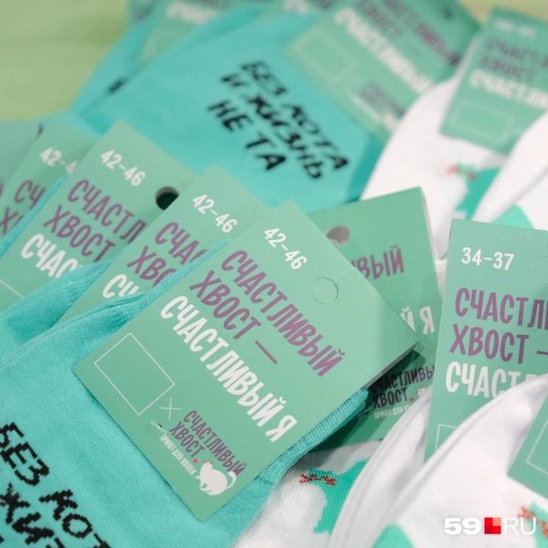 Носки с кошачьими истинами | Источник: Тимофей Калмаков / 59.RU