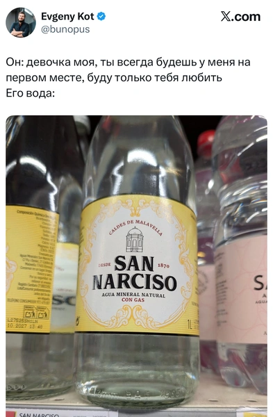 Источник: X (Twitter)