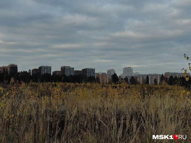 Источник: Дмитрий Бондарев / MSK1.RU