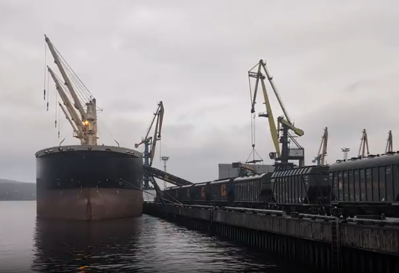 В Мурманск пришел эшелон с зерном: это первый опыт работы морского порта с таким грузом